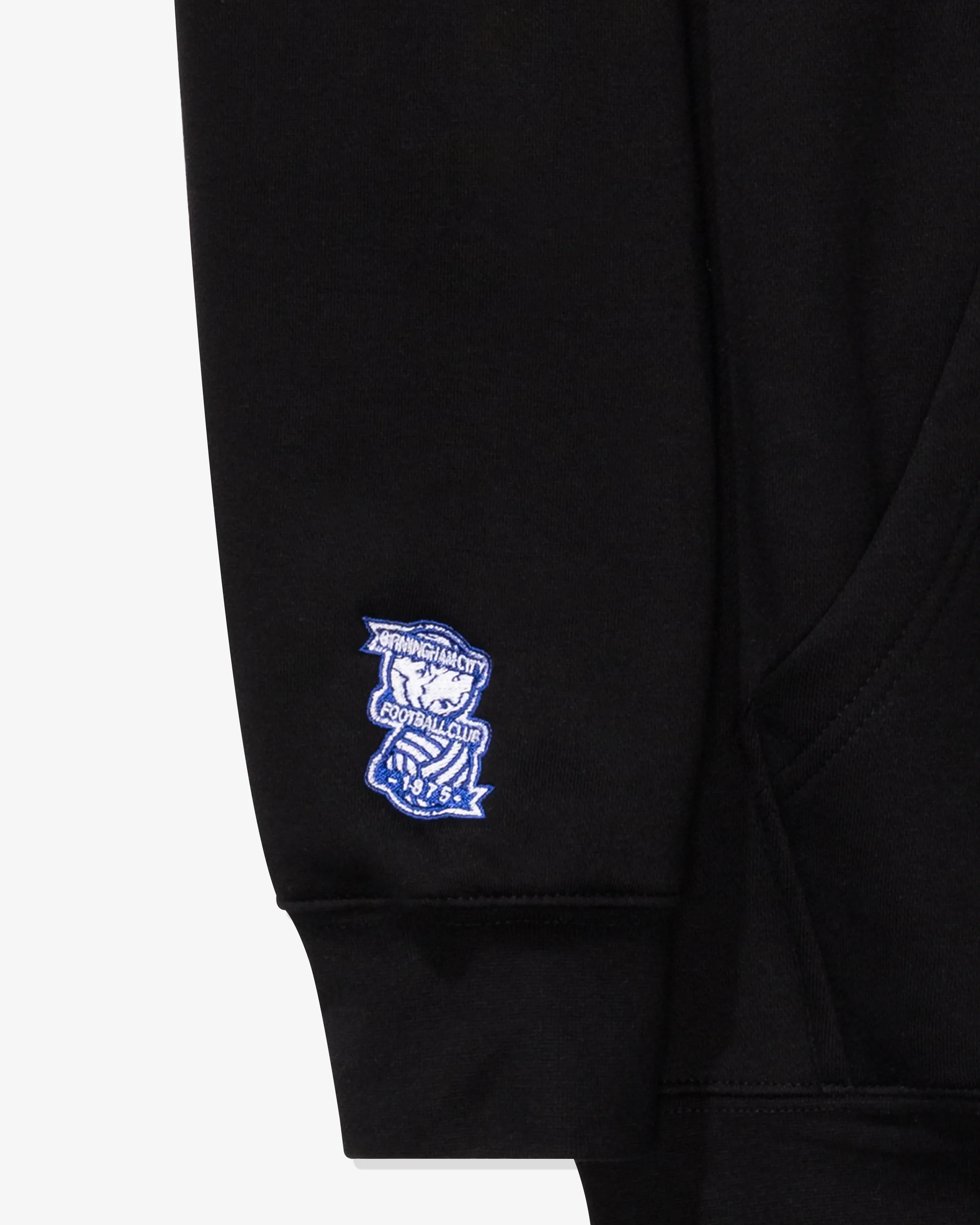 UNDEFEATED X BCFC BLUES HOODED SWEATSHIRT - Image 5