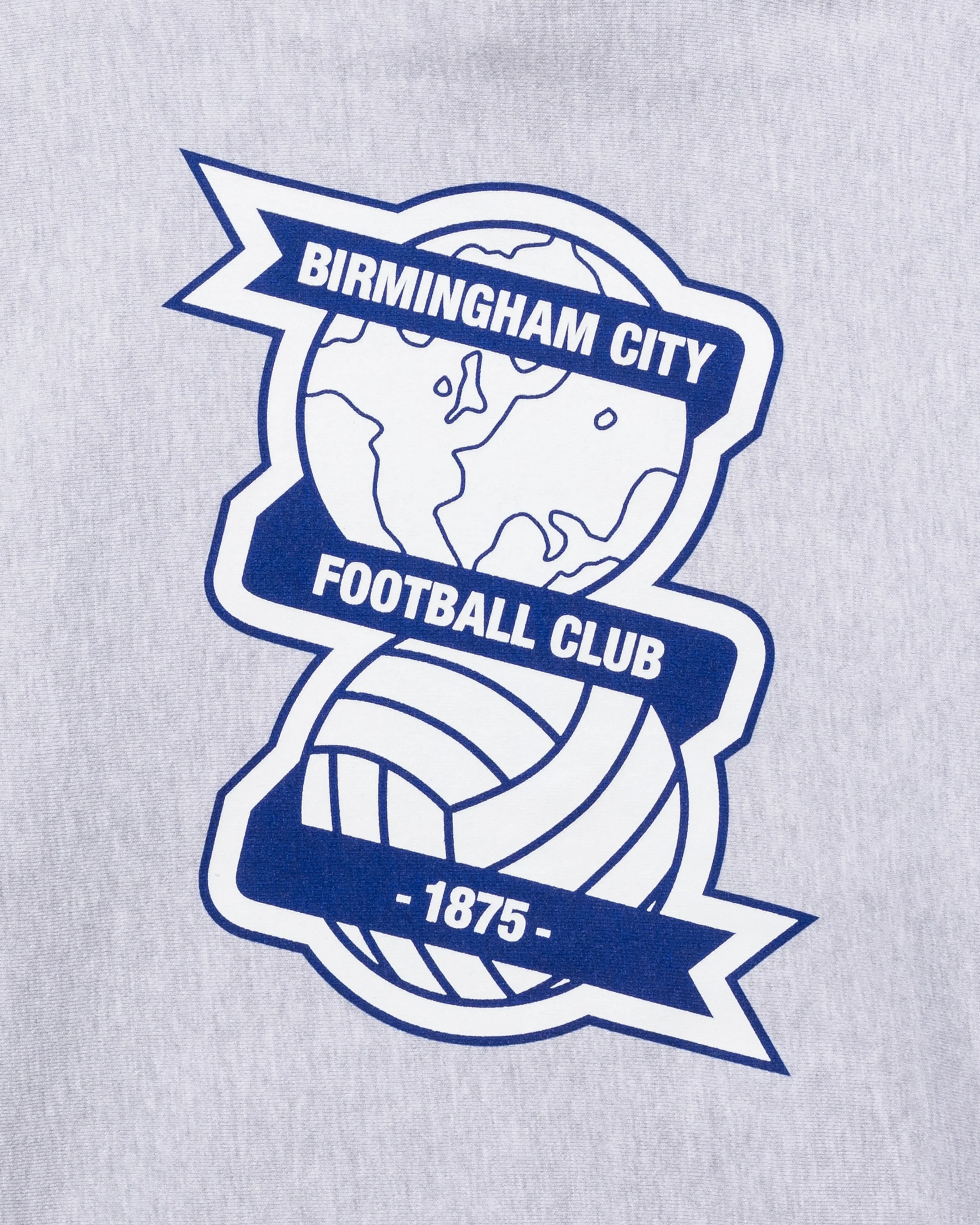 UNDEFEATED X BCFC TEAM HOODIE - Image 13