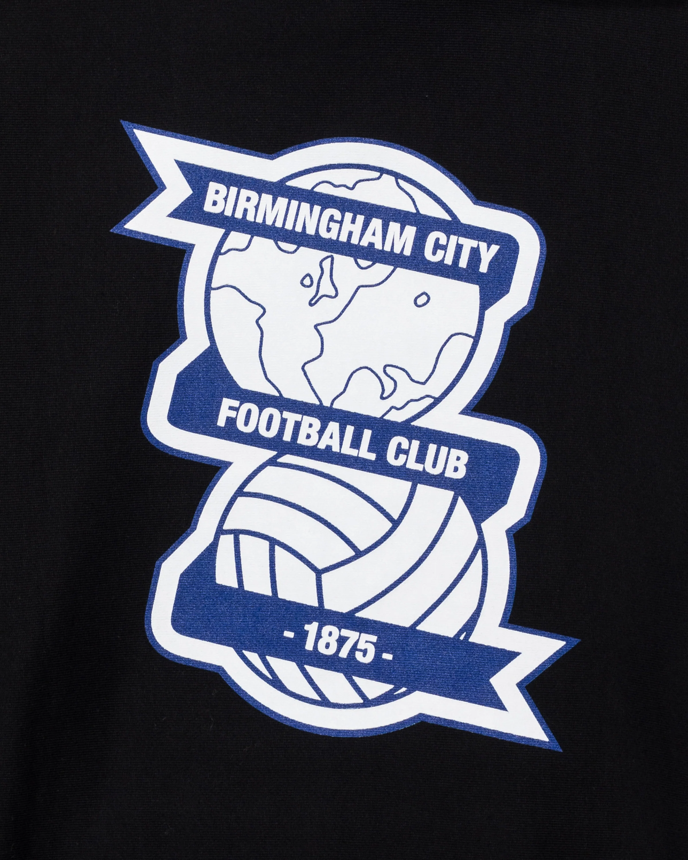 UNDEFEATED X BCFC TEAM HOODIE - Image 4