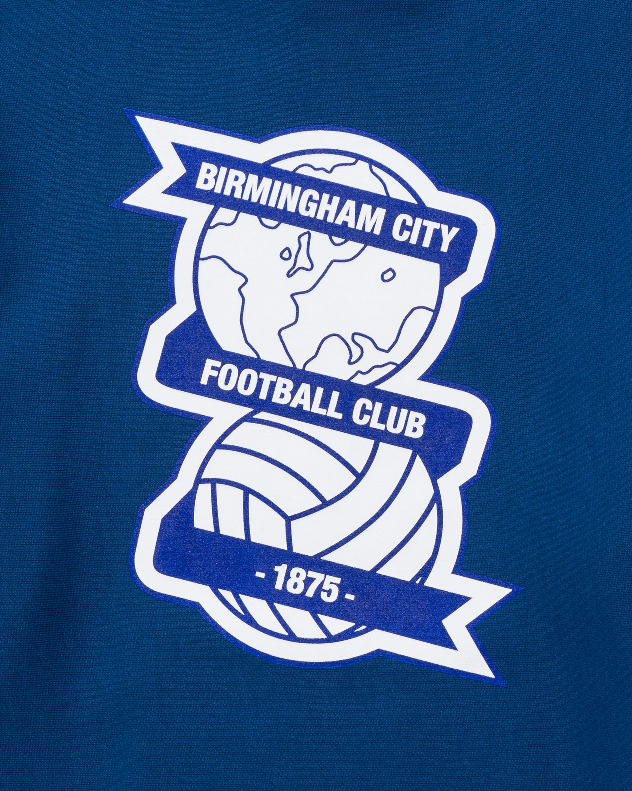 UNDEFEATED X BCFC TEAM HOODIE - Image 9
